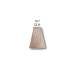 Load image into Gallery viewer, Keune Tinta Color Lightest Violet Blonde 10.7 – 60ml