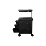 Load image into Gallery viewer, Pedicure Manicure Cart Trolley Stool with Removable Accessory Tray