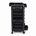 Load image into Gallery viewer, . StudioMax Multi-Drawer Salon Trolley