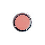 Load image into Gallery viewer, Skywei Colour Transparent Jelly Gel Polish 004