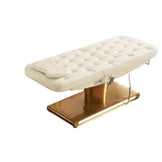 Modern Spa Facial Treatment Reclining Massage Electric Beauty Bed