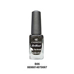 Load image into Gallery viewer, Gabrini Brilliant Nail Polish 06
