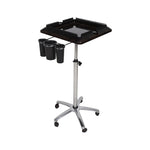 Load image into Gallery viewer, Compact Salon Tray Trolley with Tool Holders