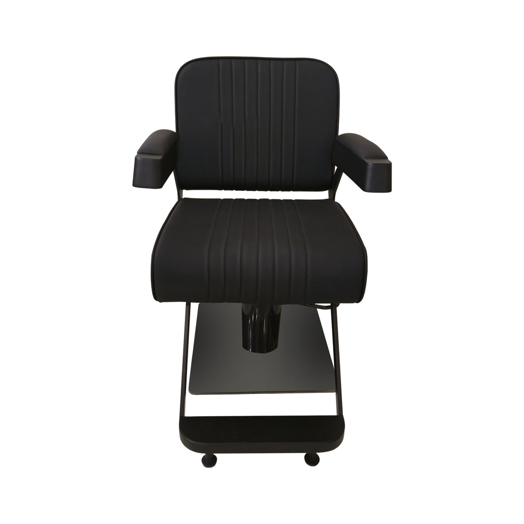 Professional Barber Chair