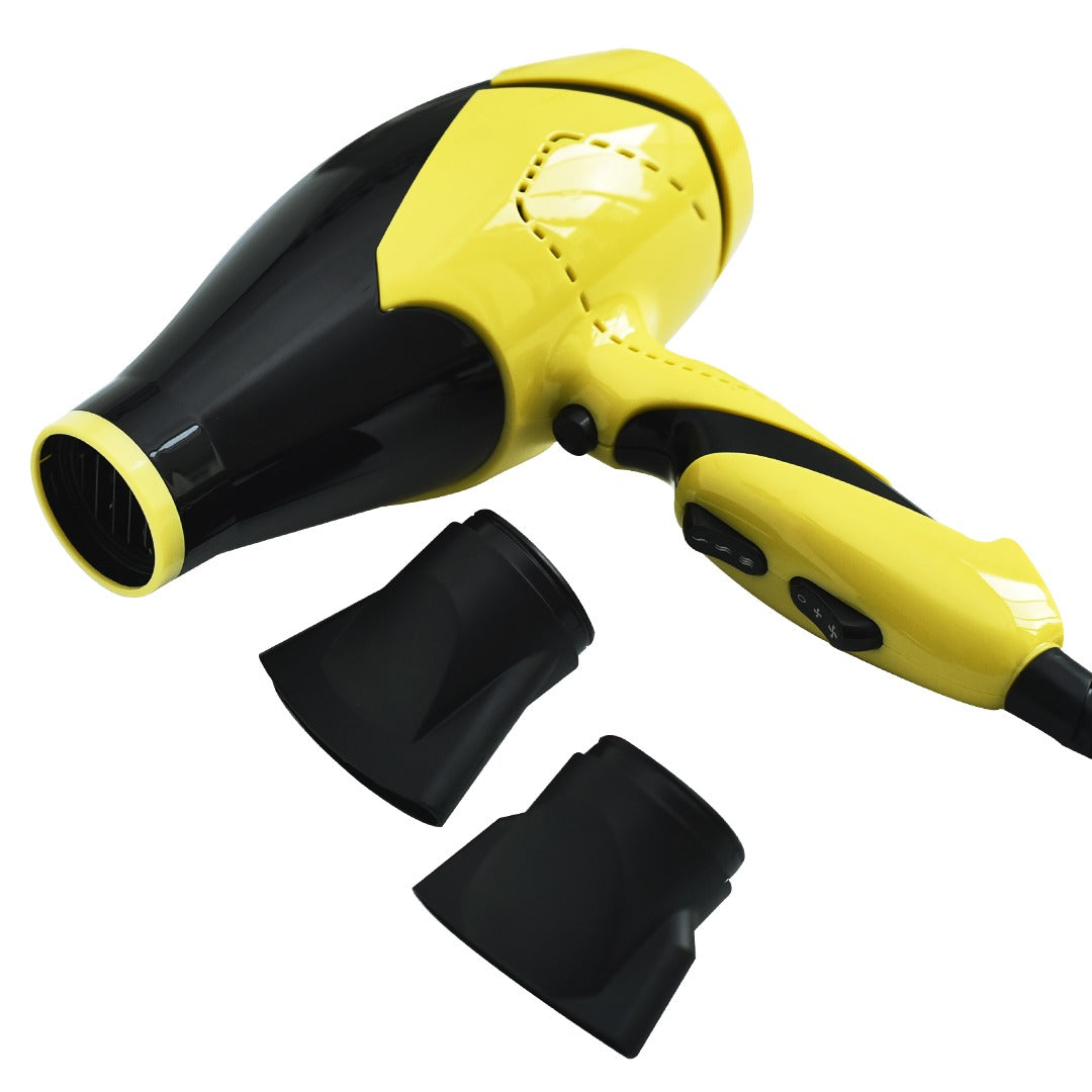 Professional Hair Dryer 3000W