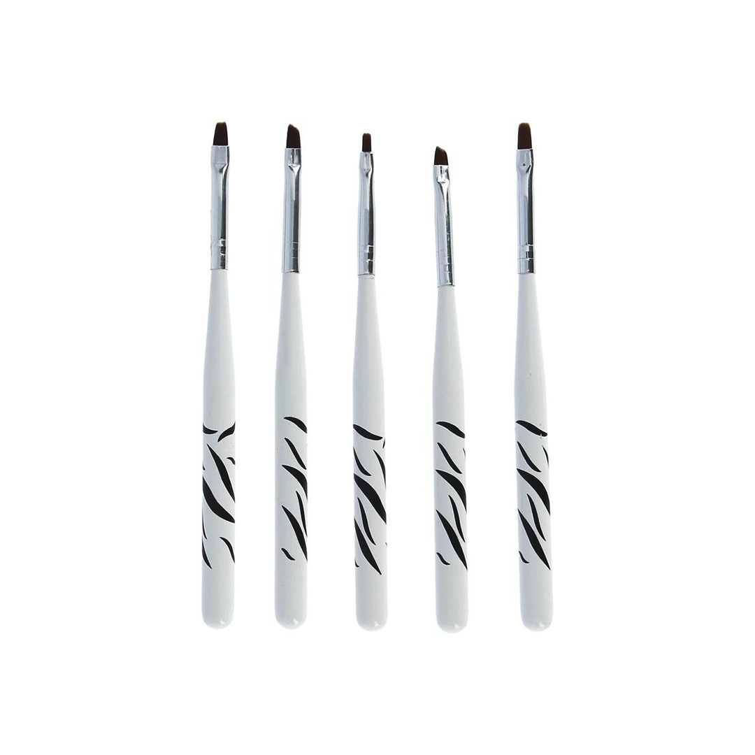 Professional Nail Art Brush Set of 5Pcs