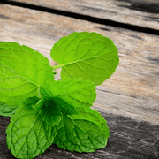 Intimo After Wax Oil 250ml | Azulene & Menthol Colophony Free