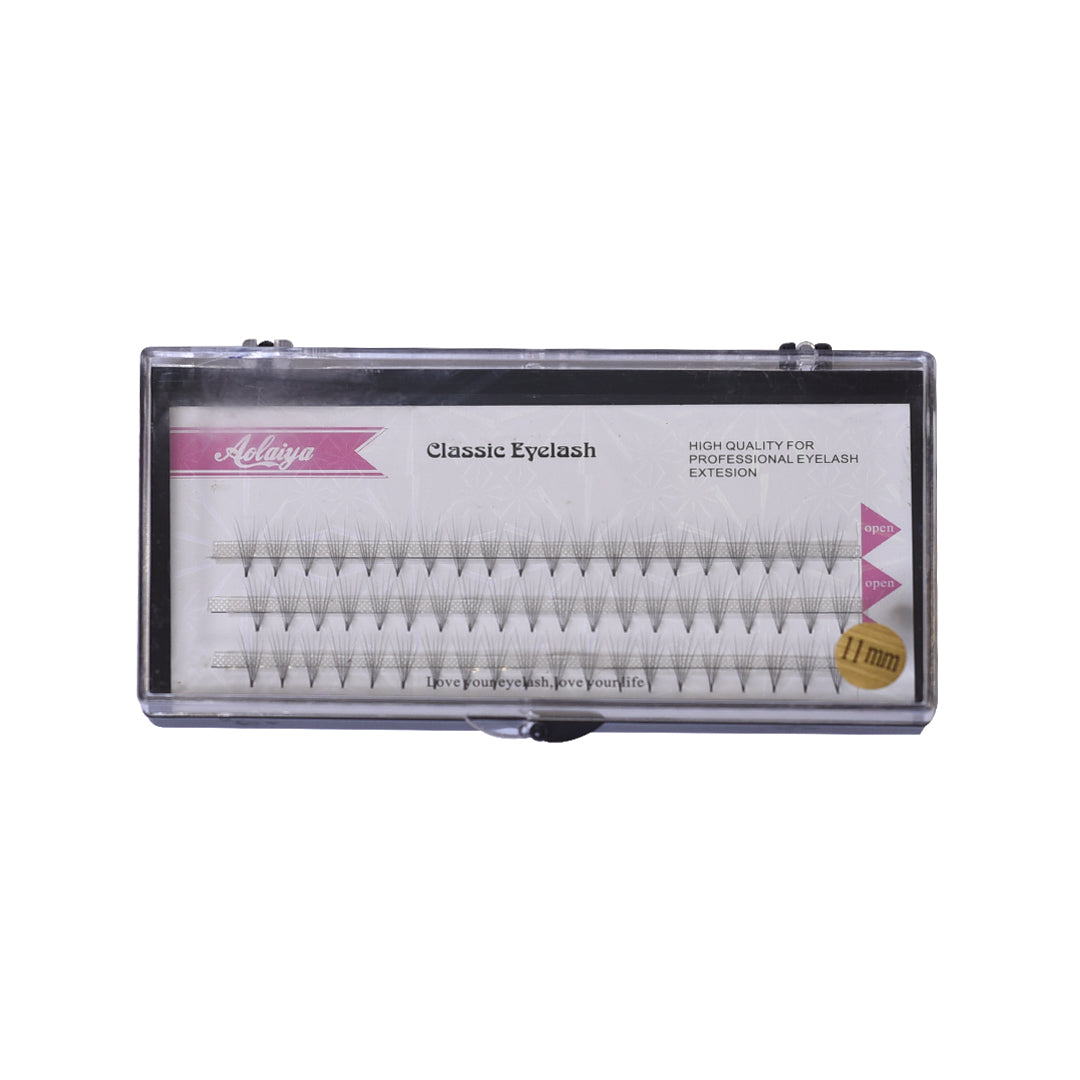 Eyelash Extensions Individual Volume Lash Premade Fans 6D 11mm (60 fans 360 individual eyelashes)