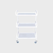 Eco Facial Trolley