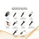 Load image into Gallery viewer, Multifunctional 10 In 1 Vertical Hydra Facial Machine
