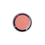 Load image into Gallery viewer, Skywei Colour Transparent Jelly Gel Polish 003
